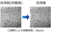 CL観察による僭称検査