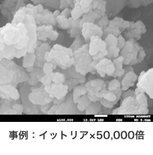 高分解能走査電子顕微鏡（FE-SEM）分析：JSM-7200F